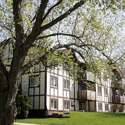 a row of houses with trees in front of them