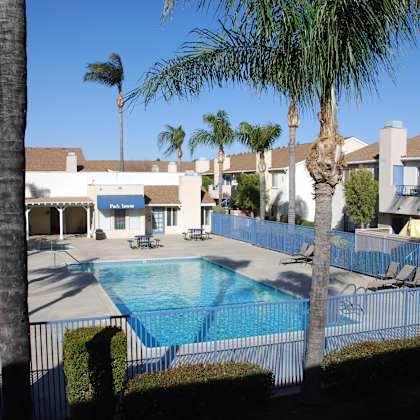 a pool surrounded by palm trees and a fence.