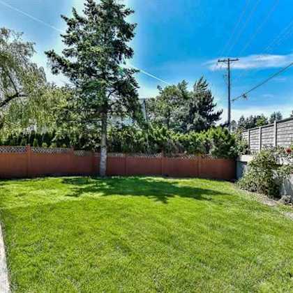 a backyard with a green lawn and a brown fence.
