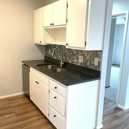 renovated kitchen with designer finishes: granite countertops, decorative tiled backsplash, dishwasher.