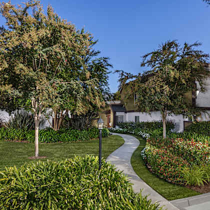 a residential area with a pathway and greenery.