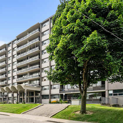 a large tree is in front of a grey apartment building.