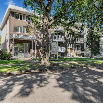 a tree in front of apartment buildings.