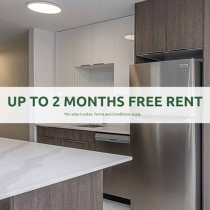 a modern kitchen with a free rent offer.