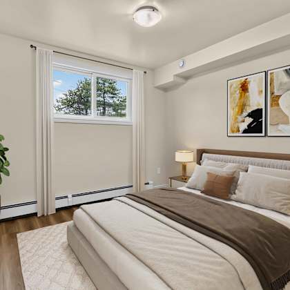 a well-lit bedroom with a large bed and a potted plant.