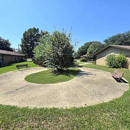 a small tree is in the middle of a concrete circle.