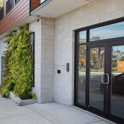 a building with a black door and windows with a plant on the side.