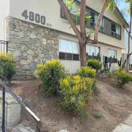 a house numbered 4800 with a stone wall and a tree in front.
