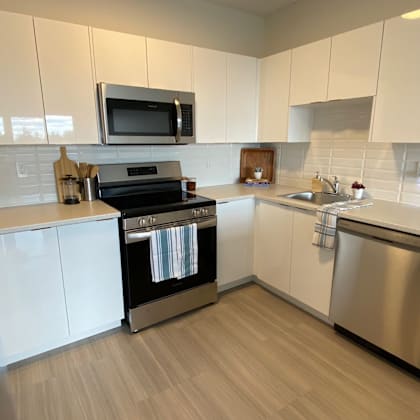 19 plateau crescent kitchen