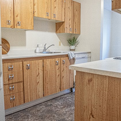 294-300 main avenue kitchen