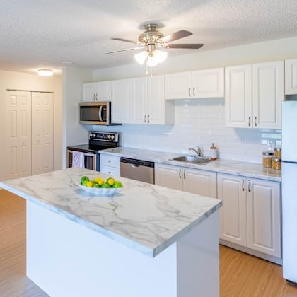 a kitchen with a marble countertop and stainless steel appliances.
