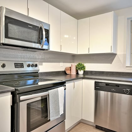 a modern kitchen with a stainless steel dishwasher and oven.