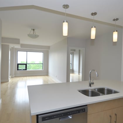 a kitchen with a sink, dishwasher, and a window.