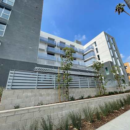 a modern building with a grey facade and a palm tree in front.