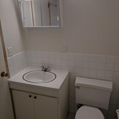bathroom at john snell apartments