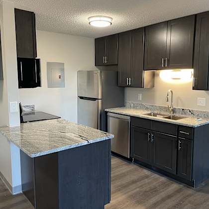 a kitchen with black cabinets and a granite countertop.