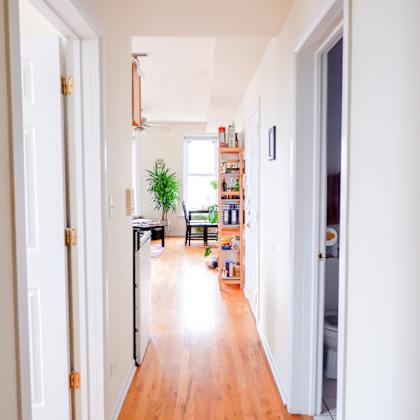 a hallway with a plant and a bookshelf.