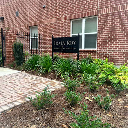a garden with plants in front of a brick building