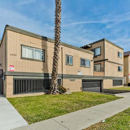 a modern building with a palm tree in front.
