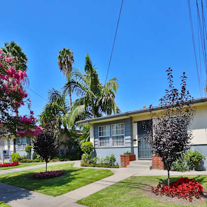 a house with a white fence and a tree in front of it.