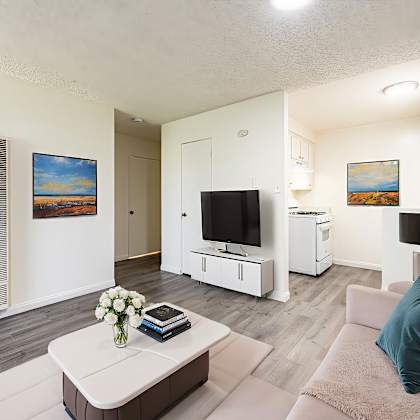 a living room with a couch, a coffee table, and a television.