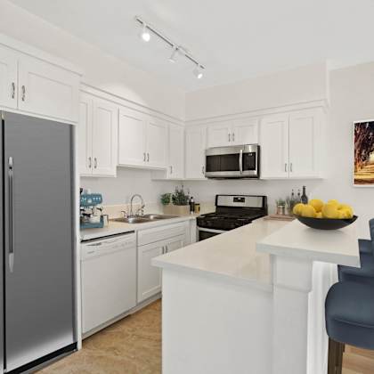kitchen with stainless-steel dishwasher, stove, and microwave oven