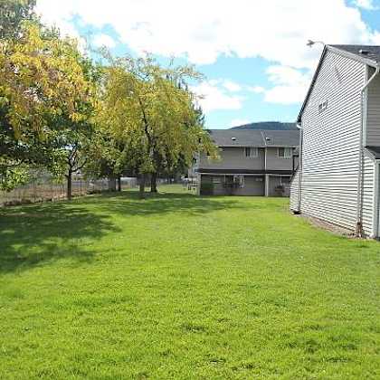 lawn with mature trees