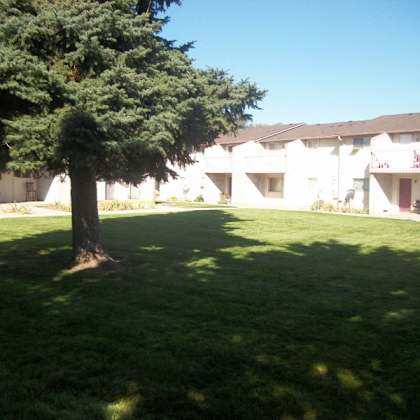 back courtyard