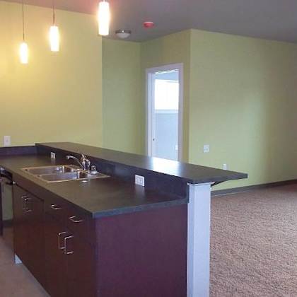 kitchen counter and bar