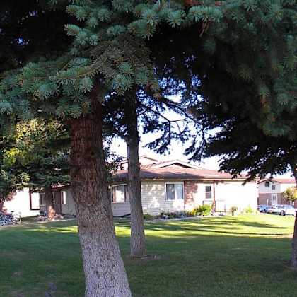 mature trees on the property