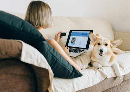 A woman is sitting on a couch with a laptop and a tablet, accompanied by a dog.