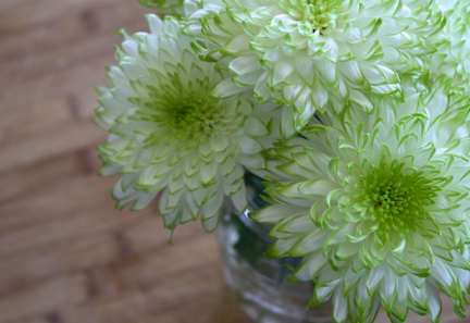 A bouquet of white flowers in a clear vase.