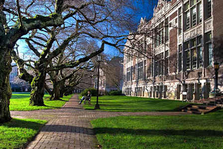 A tree-lined walkway leads to a building.