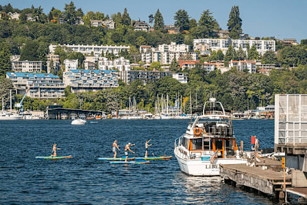 A group of people are paddleboarding in the water near a dock with a boat and buildings in the background.