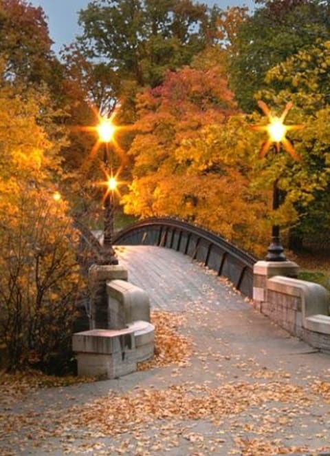 a bridge in a park with trees in the fall
