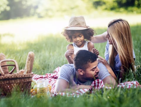 a family laying on a picnic blanket in the grass