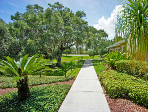 a walkway with trees and bushes on either side