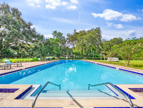 a large swimming pool with trees in the background