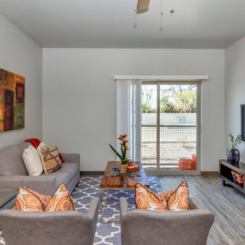 a living room with gray walls and a sliding glass door at Allora Phoenix Apartments, Phoenix, Arizona