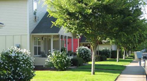A tree in front of a house.