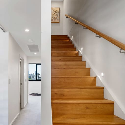 a set of stairs with white feathers on the floor