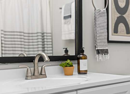 A bathroom sink with a plant and a bottle of soap at West Oak Apartments, Wake Forest, 27587