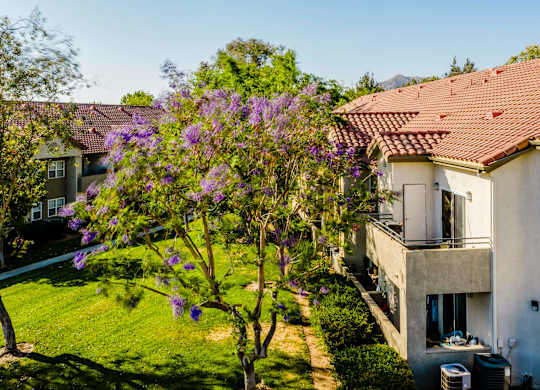 Green Space at Legends at Rancho Belago, Moreno Valley