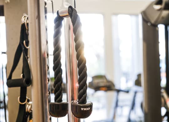 a gym with ropes and weights in it at Linden on the GreeneWay, Florida, 32824