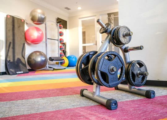 a home gym with weights and a punching bag at Linden on the GreeneWay, Orlando, FL