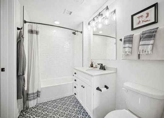 a white bathroom with a shower and a toilet at Park Kennedy, Washington, 20003