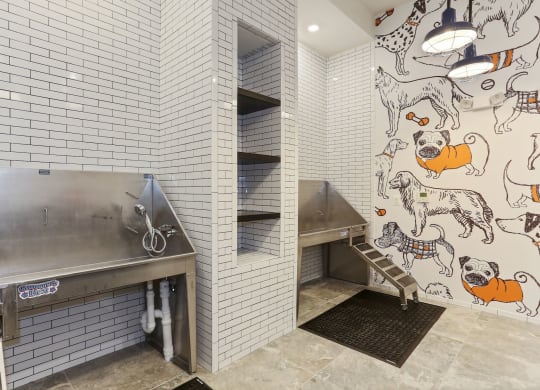 a laundry room with two stainless steel sinks and a mural of dogs on the wall at Vyne One Loudoun, Ashburn, Virginia