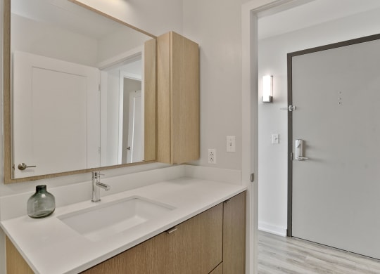 Custom Look Bathroom at 1405 Point, Baltimore, MD