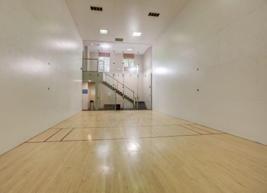 Basketball Court at Cascades Overlook, Sterling