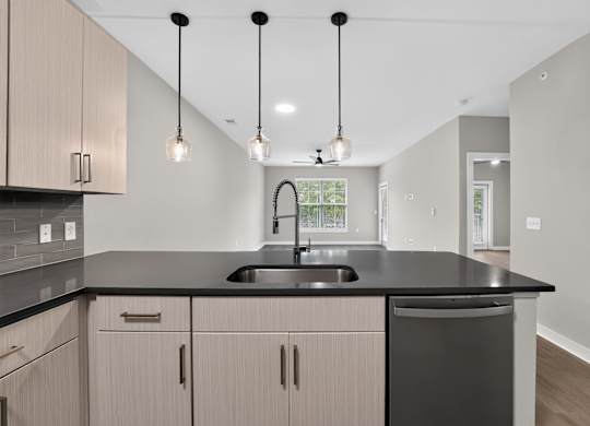 The Aster new upgraded garden apartment with a kitchen with a black countertop and wooden cabinets.